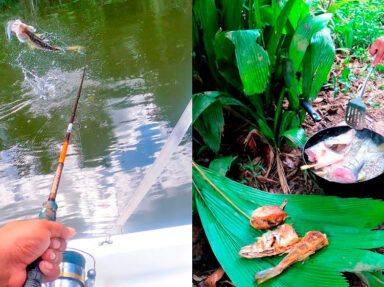 TRUCOS PARA PESCAR EN LAGOS DE AGUA DULCE